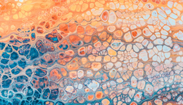 推动医美、骨科革新后，组织再生材料的下一个契机是干细胞？