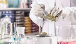 这个常用成分再陷致癌争议