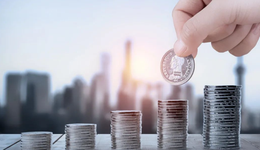 白酒股大幅下跌vs三季报业绩向好，白酒发展的底层逻辑是什么？