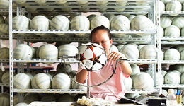 【图集】世界杯开赛在即，义乌的订单又爆了