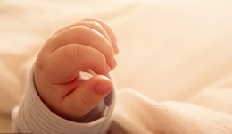 【獨(dú)家】黑龍江計(jì)劃在全省實(shí)施育兒補(bǔ)貼政策，各地市年內(nèi)出方案