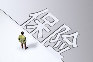 中国再保险,保费收入,保险业绩