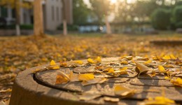 连年巨亏，流动资金急缺，汉邦高科靠定增“卖壳”有用吗？