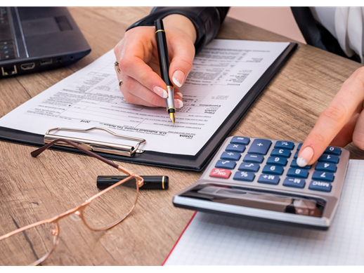 星期六,002291.SZ,公司名称