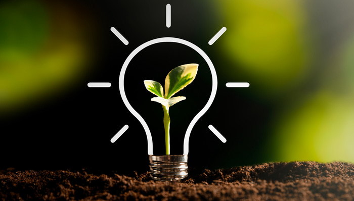 金融机构，中国人民银行,金融研究所,绿色金融,转型金融,低碳,世界城市日,上海,央行