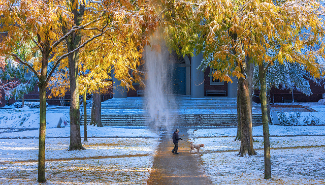 缠讼八年，美最高法院开始审理哈佛招生歧视案