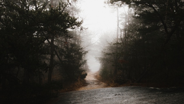 志怪的当代启示：拓宽人间的边界，身体与万物相联