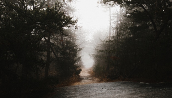 文学,中国文学,志怪,传统文化