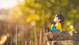 双11，游戏周边受青睐，潮玩盲盒呢？