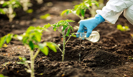 拟用8亿现金、溢价超3倍收购麦可罗，远大控股加速布局生物农药靠谱吗？