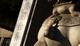 【深度】重建供销社：什么定位？如何监管？