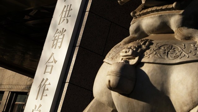 【深度】重建供销社：什么定位？如何监管？