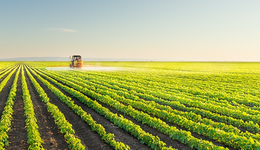 三季報(bào)普增，草甘膦概念股活躍，業(yè)績(jī)“紅利”能否持續(xù)？