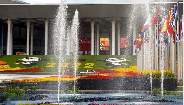 报告：过去十年中国人均消费品进口额增近1倍，促进口政策发挥积极作用