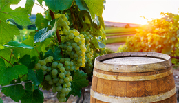 地方国资刚接手就踩雷？葡萄酒企威龙股份或因违规担保案重回“ST”