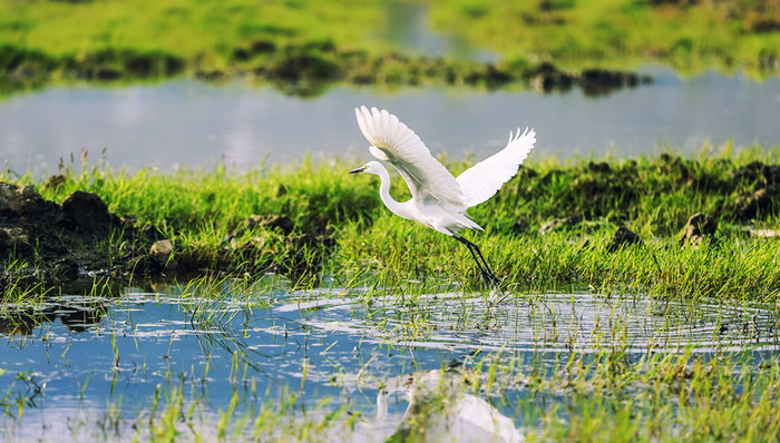 最高检指导发布首批湿地保护公益诉讼典型案例，将加大推进公益诉讼立法的工作力度