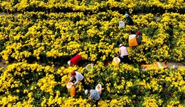 左學(xué)金：收入初次分配問題需要通過深化改革來消除