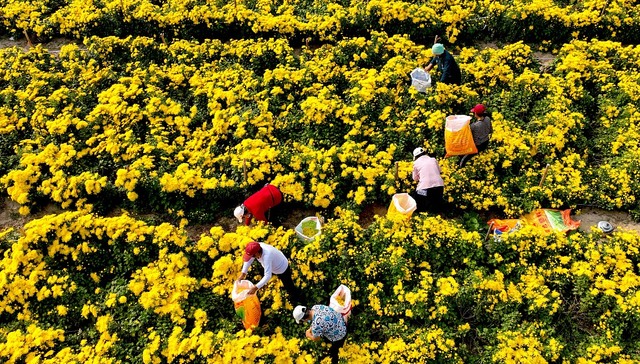 左学金：收入初次分配问题需要通过深化改革来消除