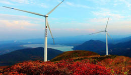 從大宗商品到裝備，國家電投、中國華能采購總額達(dá)62億｜ 進(jìn)博會購物車