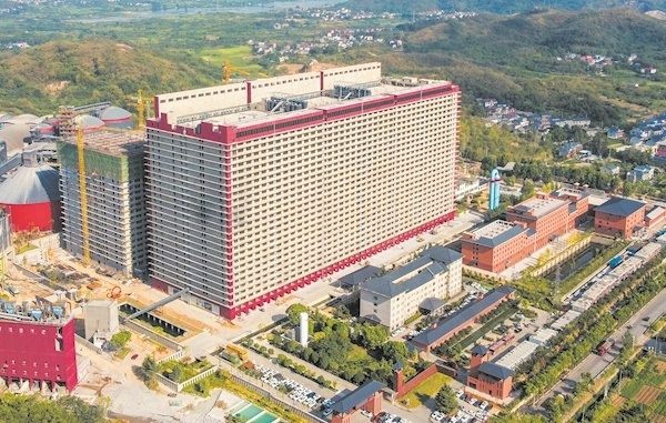 【特写】实探26层国内最高养猪大楼：一家水泥公司能不能把猪养好？