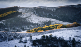 國家氣候中心：今冬冷空氣強(qiáng)度整體偏弱，大部地區(qū)氣溫接近常年同期到偏高