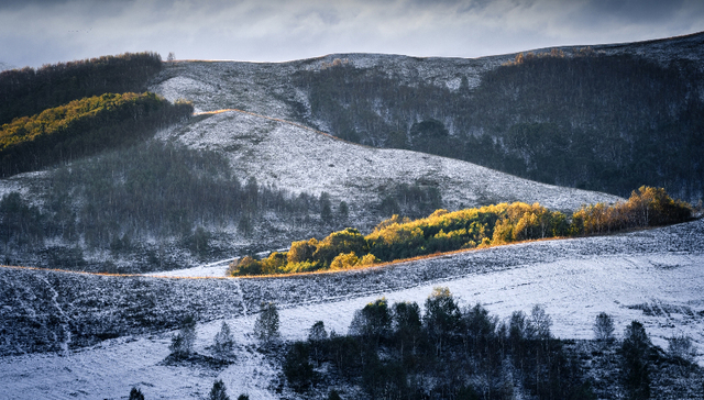 国家气候中心：今冬冷空气强度整体偏弱，大部地区气温接近常年同期到偏高
