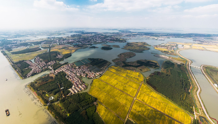 上海，长三角，经济，指数报告，一体化,进博会,上海大都市圈,纽约,东京