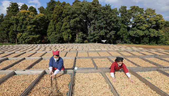 日本农协的75年兴衰，能给中国供销社提供哪些启示和教训？