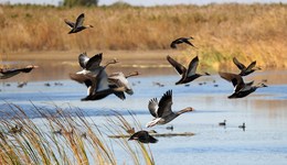《國家公園空間布局方案》獲批：科學(xué)合理確定建設(shè)數(shù)量和規(guī)模，成熟一個(gè)設(shè)立一個(gè)