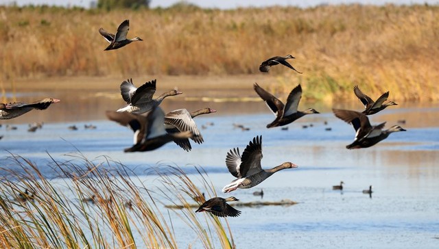 《国家公园空间布局方案》获批：科学合理确定建设数量和规模，成熟一个设立一个