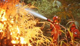 直通部委 | 前10月全國接報火災(zāi)70.3萬起 10月份豬肉價格上漲51.8%