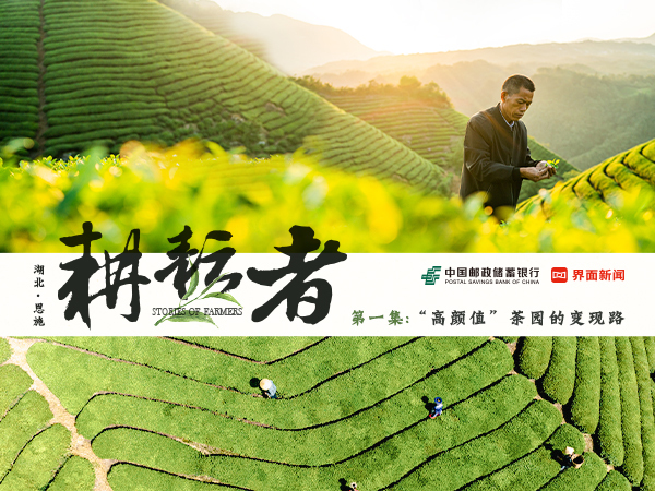 金融助力茶旅融合，邮储银行“贷”动湖北鹤峰县茶农走出发展新路子