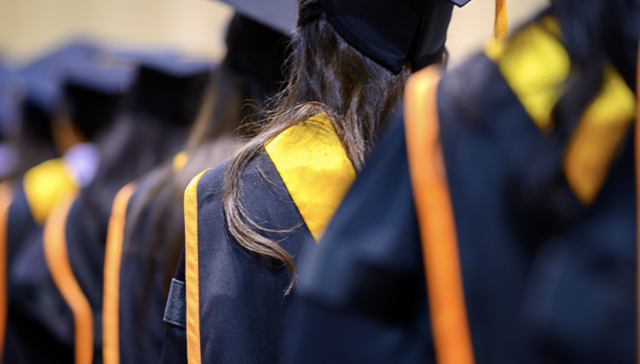 职场,大学生,互联的,考研,留学