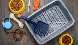 這屆雙十一，理智的鏟屎官?zèng)]那么好糊弄了？