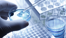 上海發(fā)文促進(jìn)細(xì)胞治療產(chǎn)業(yè)發(fā)展：到2024年產(chǎn)業(yè)規(guī)模達(dá)到100億元