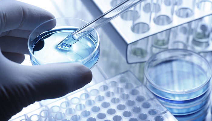 上海市科委,上海市经济信息化委,上海市卫生健康委,细胞治疗,科技创新,产业发展,行动方案,新赛道