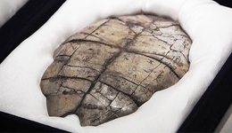 【图集】“商”王朝存在实证：国家文物局发布殷墟考古与甲骨文研究新进展