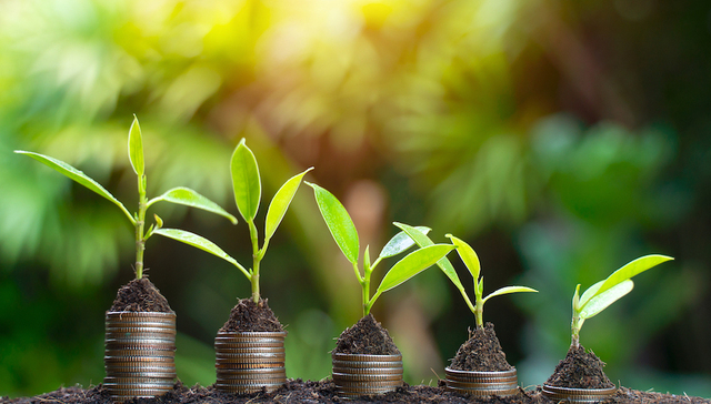 气候变化国际投资遇冷，“适应”领域投入亟待增强