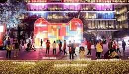 实体零售双十一往事：不屑、对抗与融合