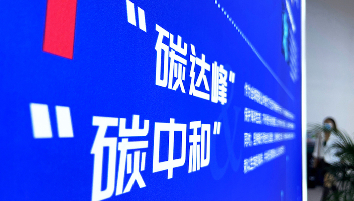 刘世锦：减碳面临的战略路径选择丨书摘