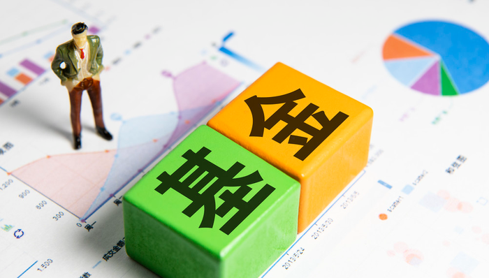 四川双马,私募股权投资基金,A股