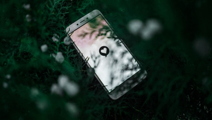 移动互联网,天涯,商业模式,业绩,强制执行