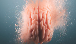 加强内分泌干扰物监管，保护儿童大脑健康发育