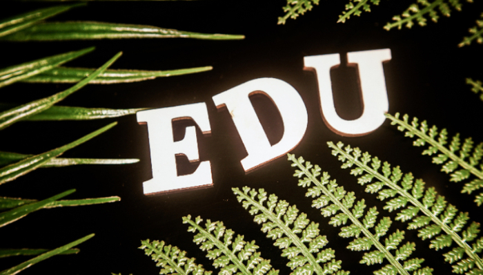 衡水中学,第一中学,财报,教育,美股