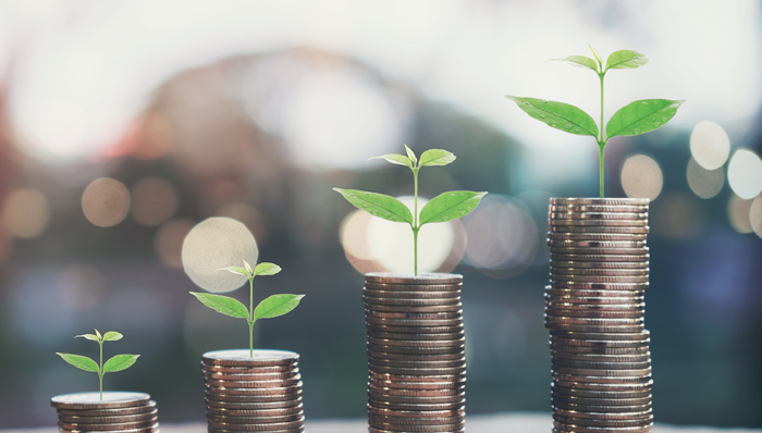 西陇科学,股东,减持