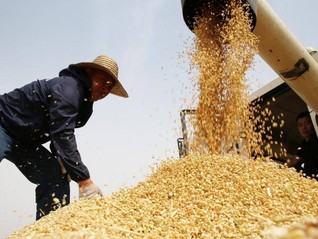 中央财政提前下达农业相关转移支付2115亿元