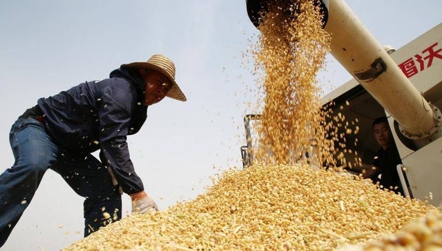 中央财政提前下达农业相关转移支付2115亿元