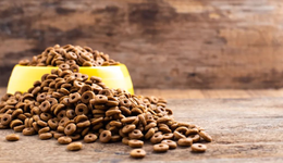 行業(yè)大亂斗，誰能扛起寵物賽道大旗？