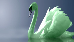 “绿天鹅”：压垮全球金融的最后一根羽毛？