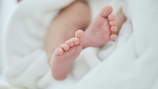 陕西宁陕将补助生育一孩，回应：生育率长期无起色，人口总量全市倒数